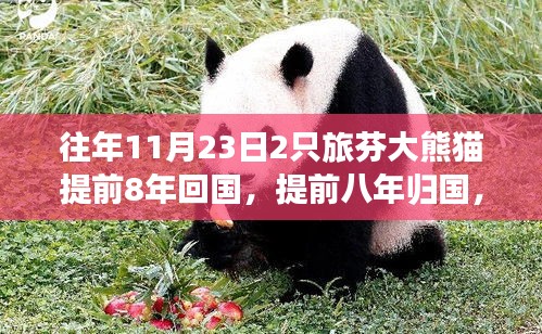 第3125页