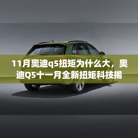 第3119页