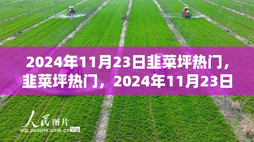 对答如流 第5页