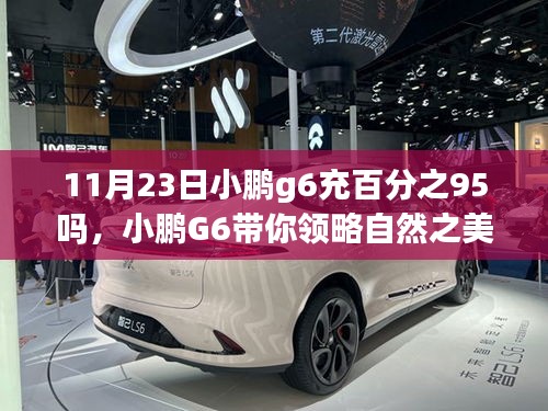 射飞逐走 第6页