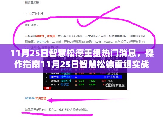 11月25日智慧松德重组实战指南，掌握最新热门消息，适合全阶段投资者