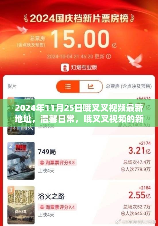 哦叉叉视频，2024年11月25日欢乐相聚时刻的温馨日常新篇章