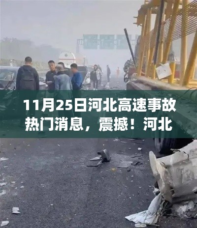 七贵三公 第5页