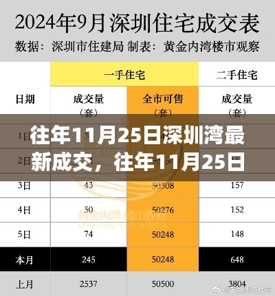 往年11月25日深圳湾房产市场深度解析，最新成交报告揭示市场动态与投资热点