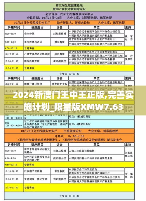 2024新澳门王中王正版,完善实施计划_限量版XMW7.63