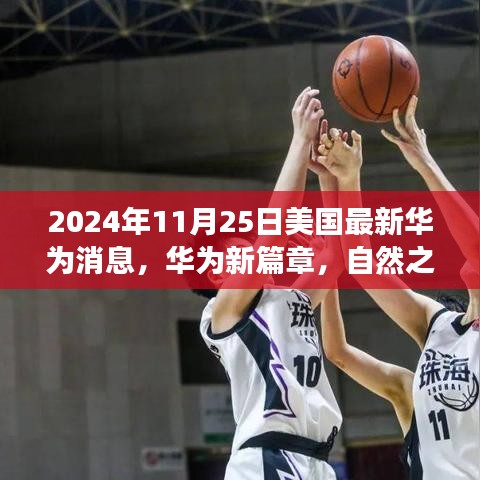 华为新篇章启程，美国最新动态与勇士的心灵交响之旅