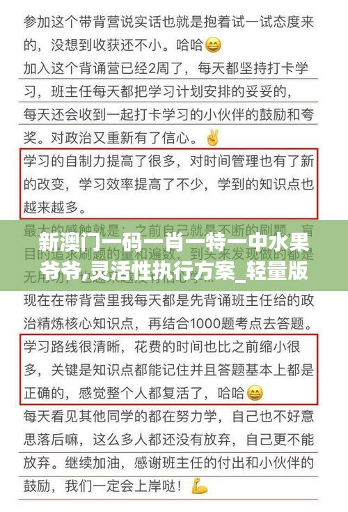 新澳门一码一肖一特一中水果爷爷,灵活性执行方案_轻量版MTP7.61