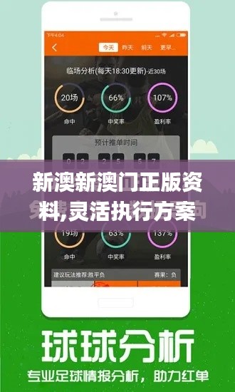 新澳新澳门正版资料,灵活执行方案_跨界版MBU7.33