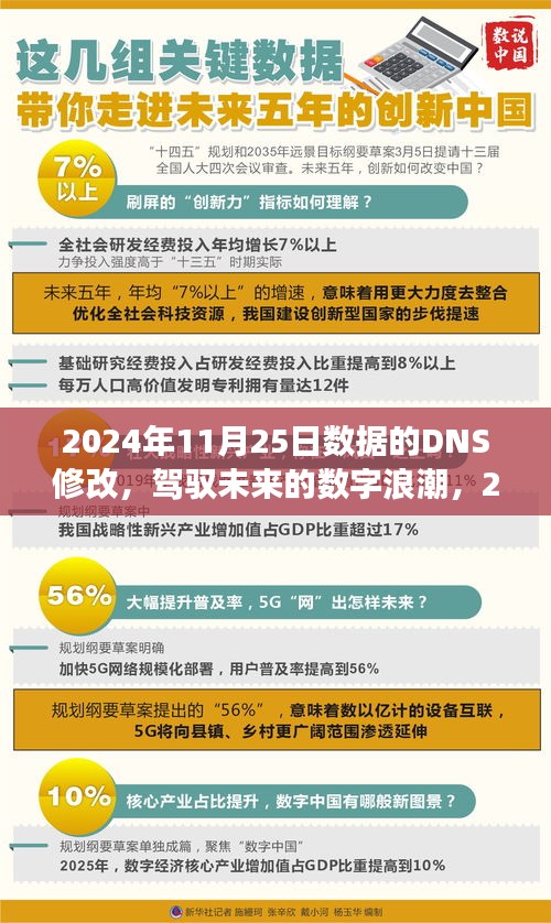 驾驭未来数字浪潮，2024年数据DNS修改之旅