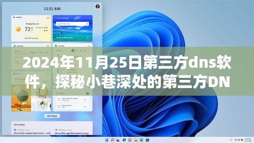 探秘第三方DNS软件宝藏店，独特体验记于2024年11月25日