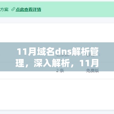 11月域名DNS解析管理详解，要点与深入解析指南