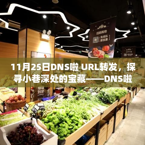 探寻宝藏之旅，DNS啦特色小店的独家URL转发之旅