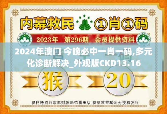 2024年澳门 今晚必中一肖一码,多元化诊断解决_外观版CKD13.16