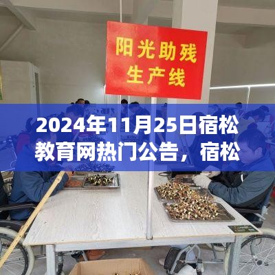 2024年11月25日宿松教育网热门公告，宿松教育网下的温暖日常，一个关于友情与陪伴的温馨故事