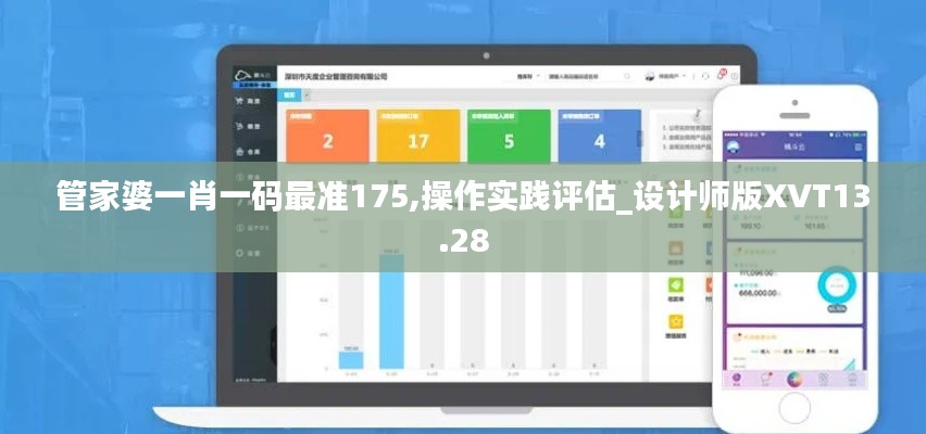 管家婆一肖一码最准175,操作实践评估_设计师版XVT13.28
