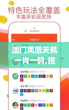 澳门凤凰天机一肖一码,担保计划执行法策略_显示版DWS13.64