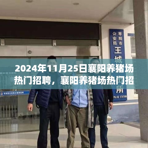 襄阳养猪场热门招聘深度解析，运营特性与用户体验
