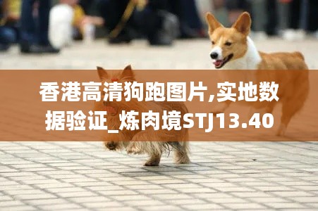 懵懵懂懂 第5页