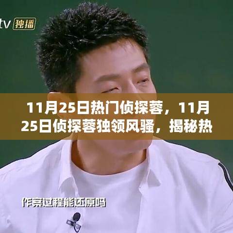 揭秘侦探蓉的魅力与智慧，独领风骚的侦探蓉引领潮流风潮