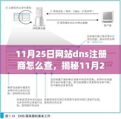 第2910页