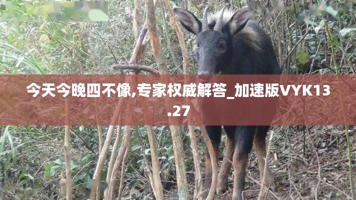 今天今晚四不像,专家权威解答_加速版VYK13.27