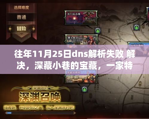 DNS解析失败奇遇与小巷宝藏探索，一家特色小店的探索之旅
