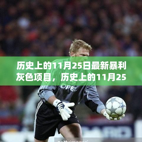 历史上的11月25日灰色项目的暴利现象，深入探讨及其影响