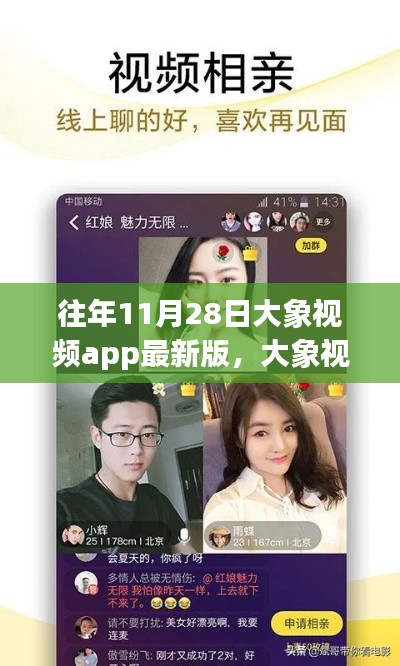 大象视频之夜，温馨派对与友情共融的视听盛宴