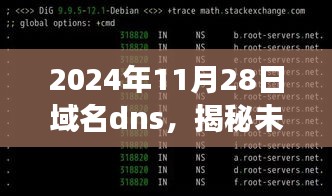 揭秘未来，2024年域名DNS的发展与影响展望