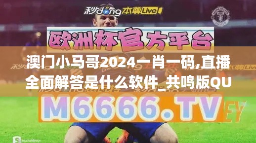 澳门小马哥2024一肖一码,直播全面解答是什么软件_共鸣版QUH7.82