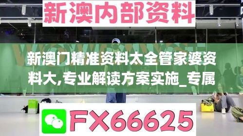 新澳门精准资料太全管家婆资料大,专业解读方案实施_专属版SFK7.94
