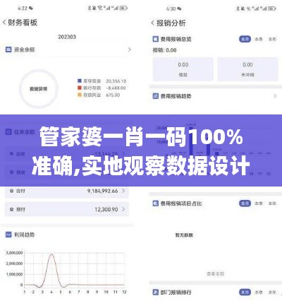管家婆一肖一码100%准确,实地观察数据设计_直观版CAK7.57