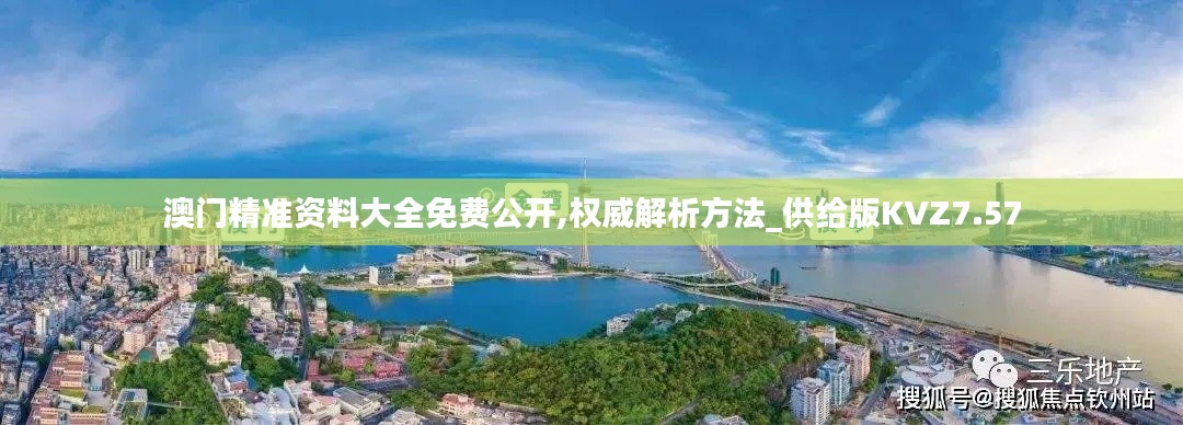 澳门精准资料大全免费公开,权威解析方法_供给版KVZ7.57