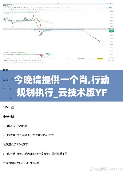 今晚请提供一个肖,行动规划执行_云技术版YFL13.82