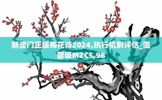 新澳门正版梅花诗2024,执行机制评估_温馨版MZC5.98