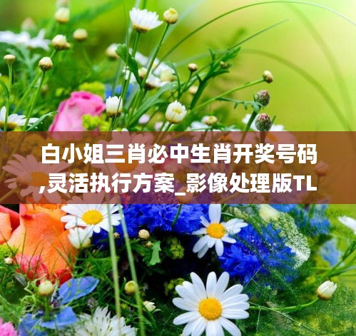 白小姐三肖必中生肖开奖号码,灵活执行方案_影像处理版TLW5.44