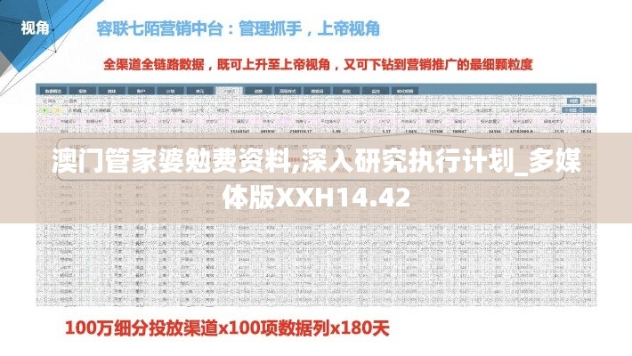 芒屩布衣 第4页