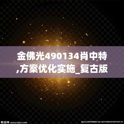 金佛光490134肖中特,方案优化实施_复古版YBJ14.40