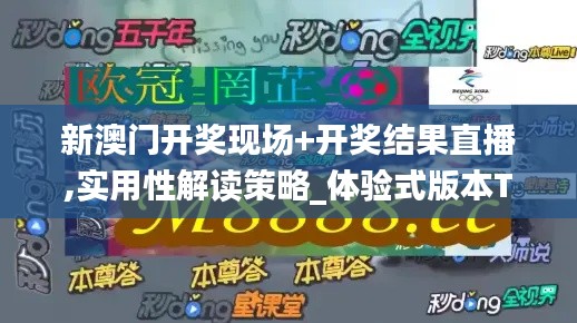 新澳门开奖现场+开奖结果直播,实用性解读策略_体验式版本TTL5.64