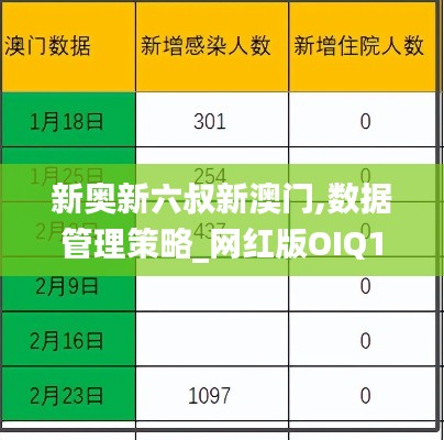 新奥新六叔新澳门,数据管理策略_网红版OIQ13.88