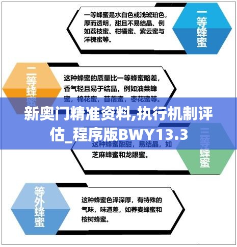新奥门精准资料,执行机制评估_程序版BWY13.3