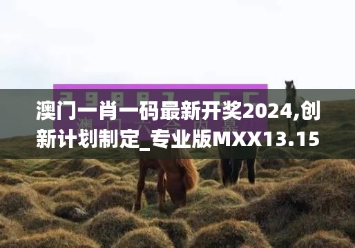 澳门一肖一码最新开奖2024,创新计划制定_专业版MXX13.15