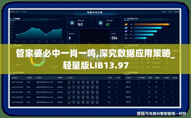 管家婆必中一肖一鸣,深究数据应用策略_轻量版LIB13.97