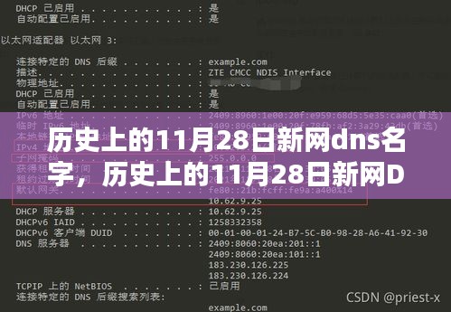 历史上的新网DNS名字产品评测，深度解析新网DNS名字背后的故事与性能表现