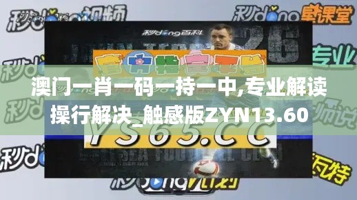 事必躬亲 第5页