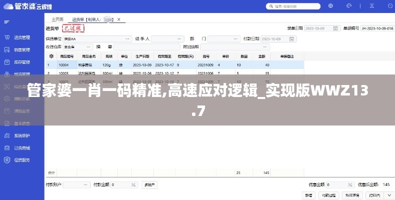 管家婆一肖一码精准,高速应对逻辑_实现版WWZ13.7