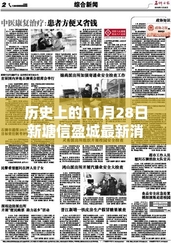 历史上的11月28日新塘信盈城最新消息，全面掌握相关资讯的步骤指南