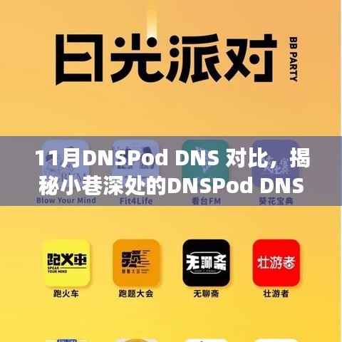 揭秘DNSPod DNS的神秘面纱，探索十一月独特魅力的对比之旅