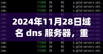 重磅揭秘，洞悉未来域名DNS服务器革新，掌握小红书时代流量密码