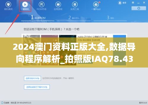 2024澳门资料正版大全,数据导向程序解析_拍照版IAQ78.438